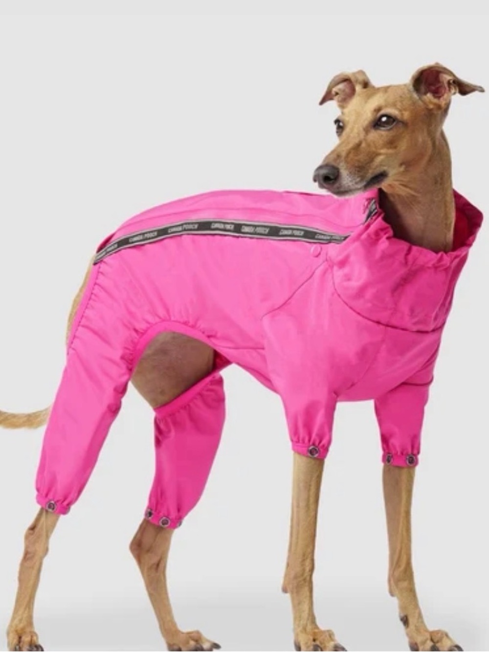 Canada Pooch Pink Full-Body Dog Rainsuit - Hot Pink Size 14 – Style CP100340